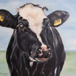Zwartbonte koe, olieverf op doek 50 x 60 cm.